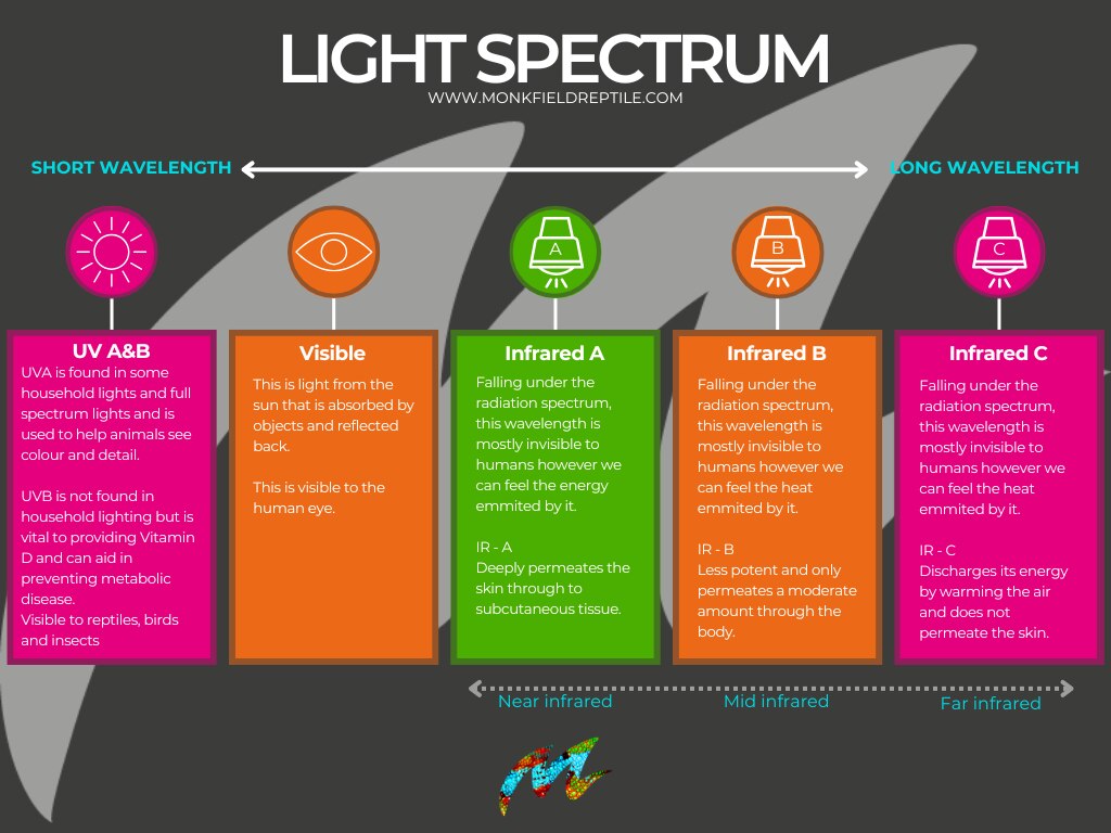 Light spectrum